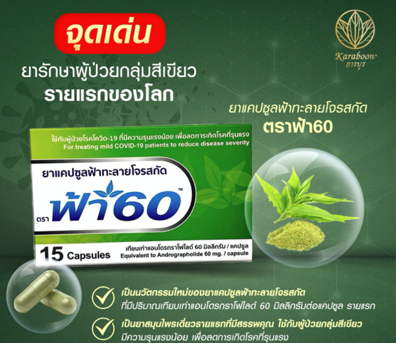 Andrographolide programme — collaboration with Thailand Ministry of Public Health